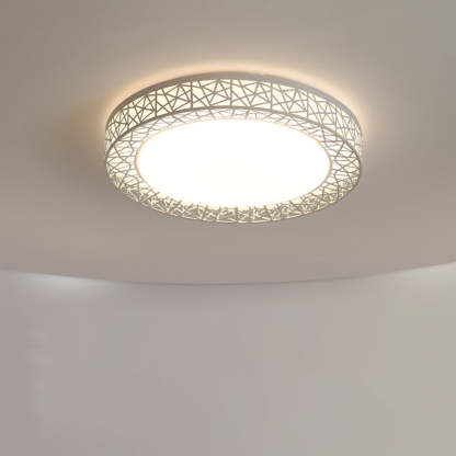 Contemporary Stylish Living Room LED Ceiling Light