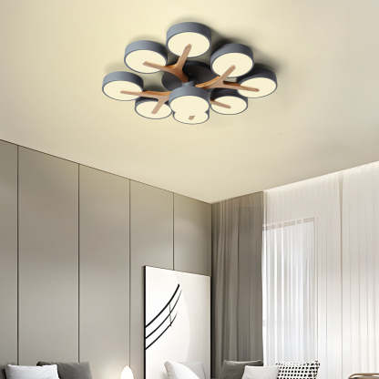 Contemporary Stylish Acrylic Living Room LED Ceiling Lights