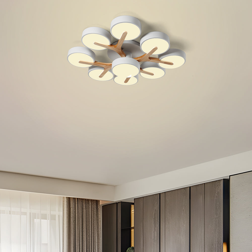 Contemporary Stylish Acrylic Living Room LED Ceiling Lights