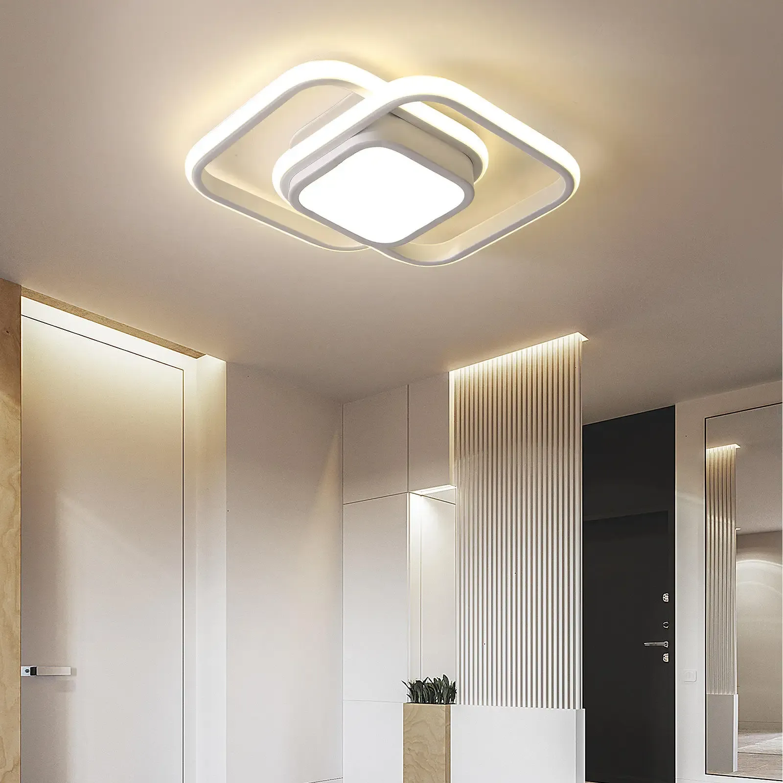 Double Ring Simple LED Ceiling Lamp