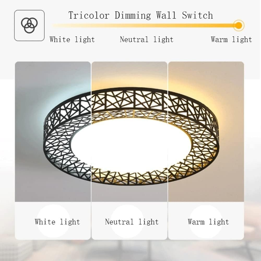 Contemporary Stylish Living Room LED Ceiling Light