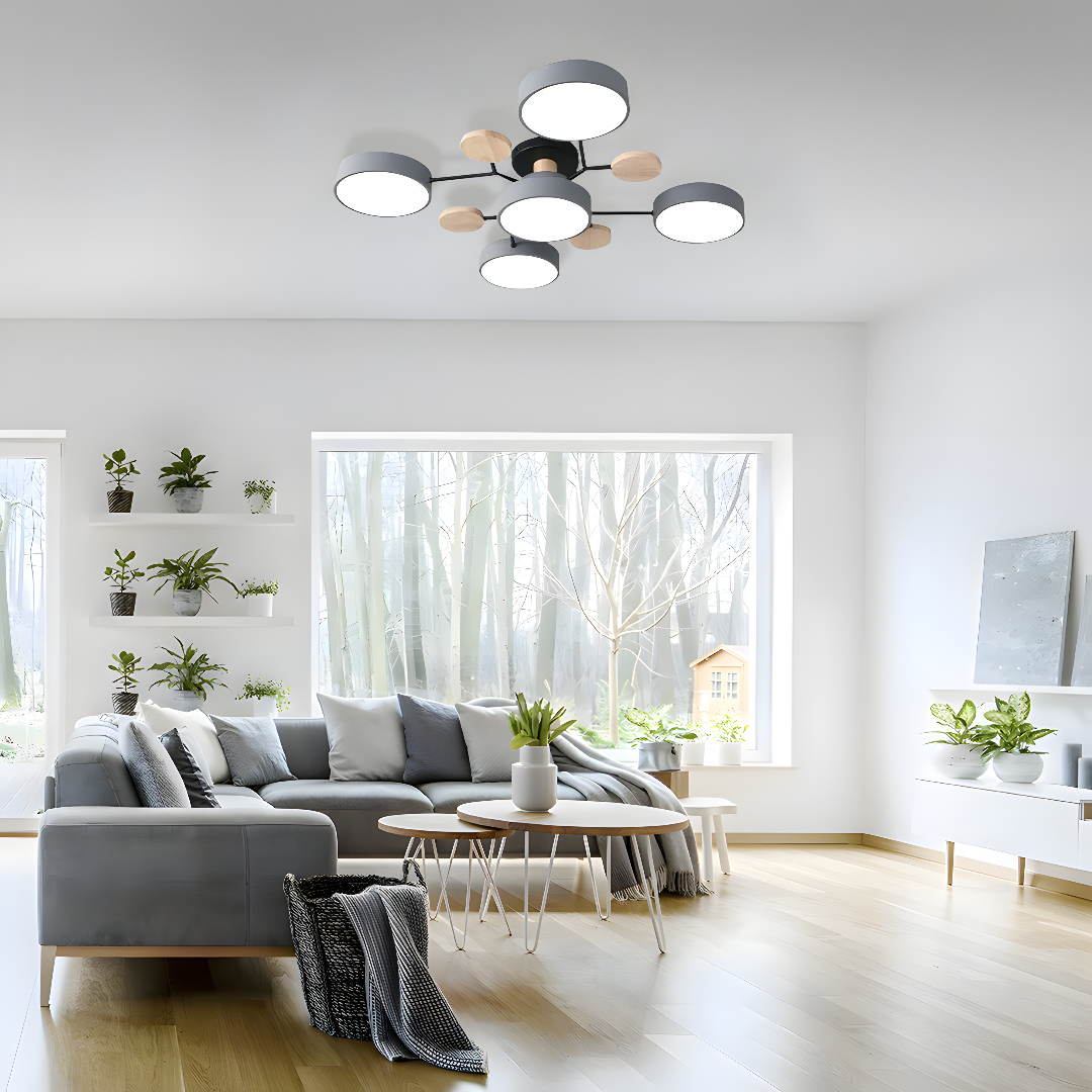 Modern Circular Living Room Round Low Ceiling Light