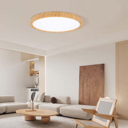 Nordic Round Simple Modern Ceiling Lamp