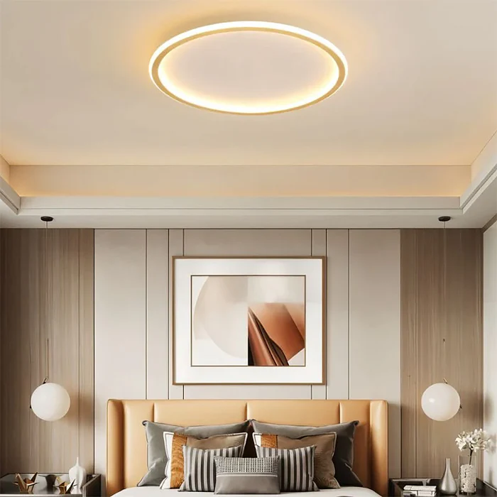 Ultra Thin Led Modern Ceiling Light For Small Living Room