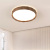 Retro Stylish Iron Flush Mount LED Ceiling Lights For Living Room