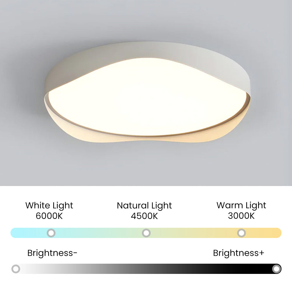 LED Bulbs Modern Ceiling Lights