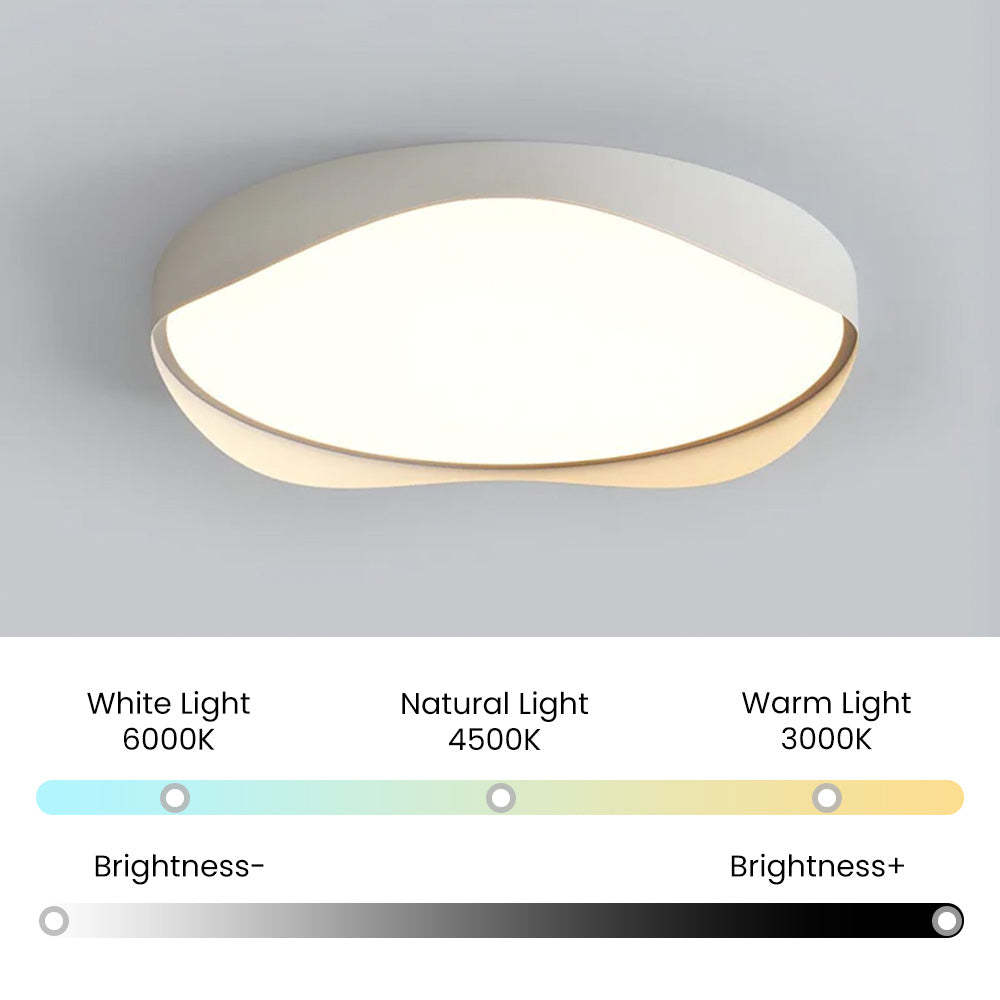 LED Bulbs Modern Ceiling Lights