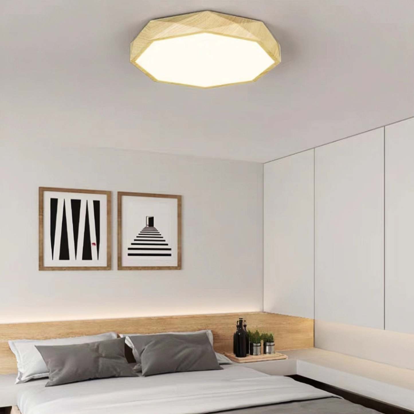 Modern Dimmable LED Ceiling Light