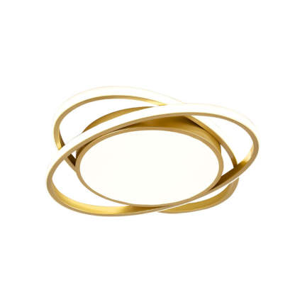 Modern Artistic Metal LED Ceiling Light