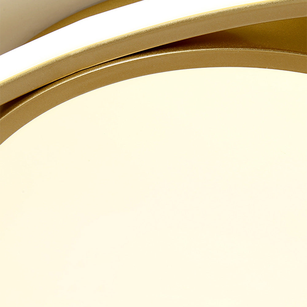 Modern Artistic Metal LED Ceiling Light