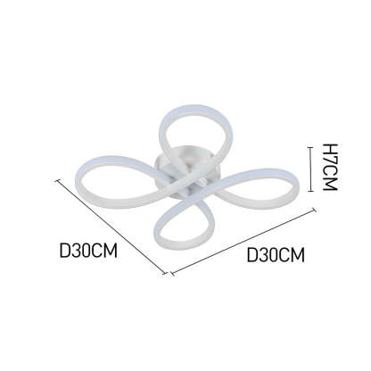 Contemporary Iron LED Bedroom Ceiling Light