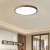 Nordic Round Simple Modern Ceiling Lamp