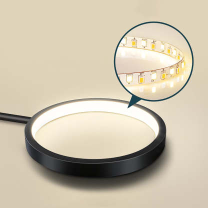 Circular Gold And Black LED Living Room Ceiling Light