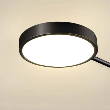 Circular Gold And Black LED Living Room Ceiling Light