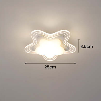 Creative Flower Acrylic Hallway LED Ceiling Light