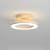Lampsmodern Ceiling Lights Modern Creative Metal Hallway Ceiling Light