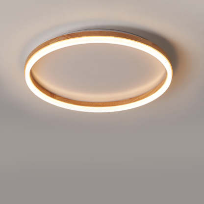 Organic Round Living Room LED Ceiling Lights