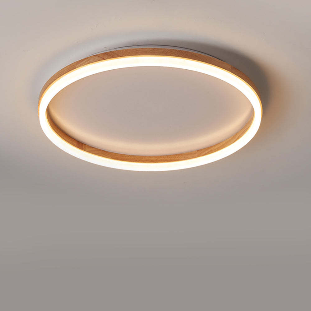 Organic Round Living Room LED Ceiling Lights