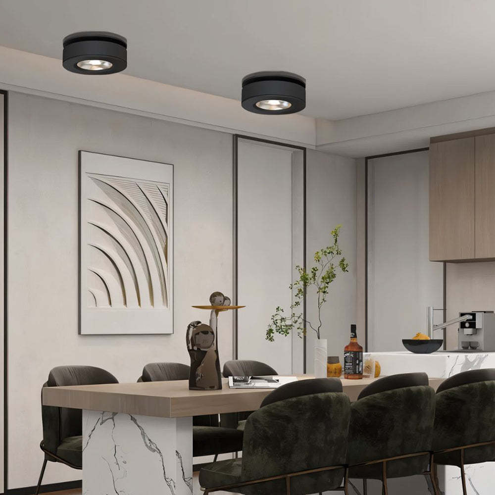 360° Rotatable Compact Round Aluminum LED Ceiling Downlights For Hallway