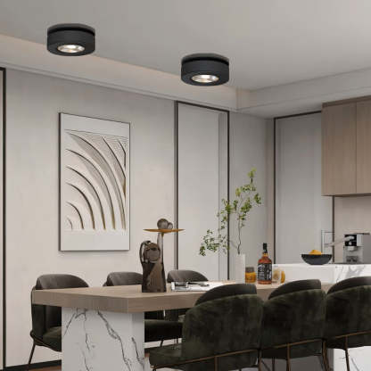 360° Rotatable Compact Round Aluminum LED Ceiling Downlights For Hallway