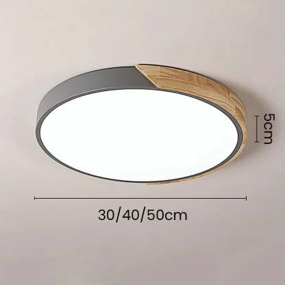 Colorful Simple LED Round Ceiling Lights