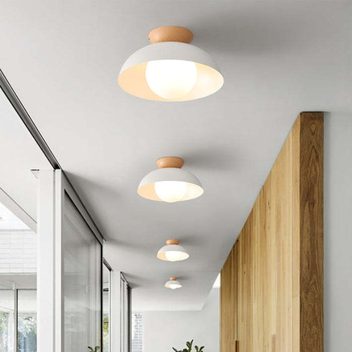 Nordic Eco-friendly Energy-efficient Ceiling Lamp Fixture -Homdiy