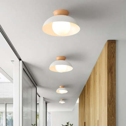 Nordic Eco-friendly Energy-efficient Ceiling Lamp Fixture -Homdiy