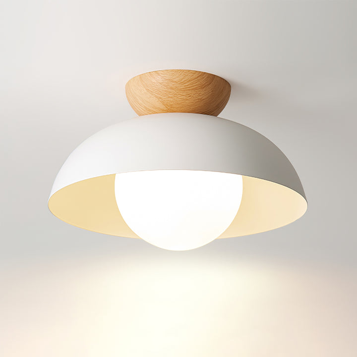 Nordic Eco-friendly Energy-efficient Ceiling Lamp Fixture -Homdiy