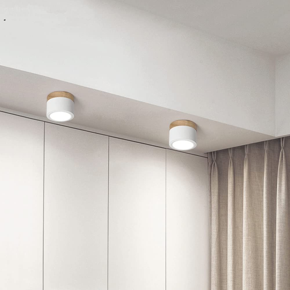 Cylinder Small Hallway Flush Ceiling Lamp For Living Room
