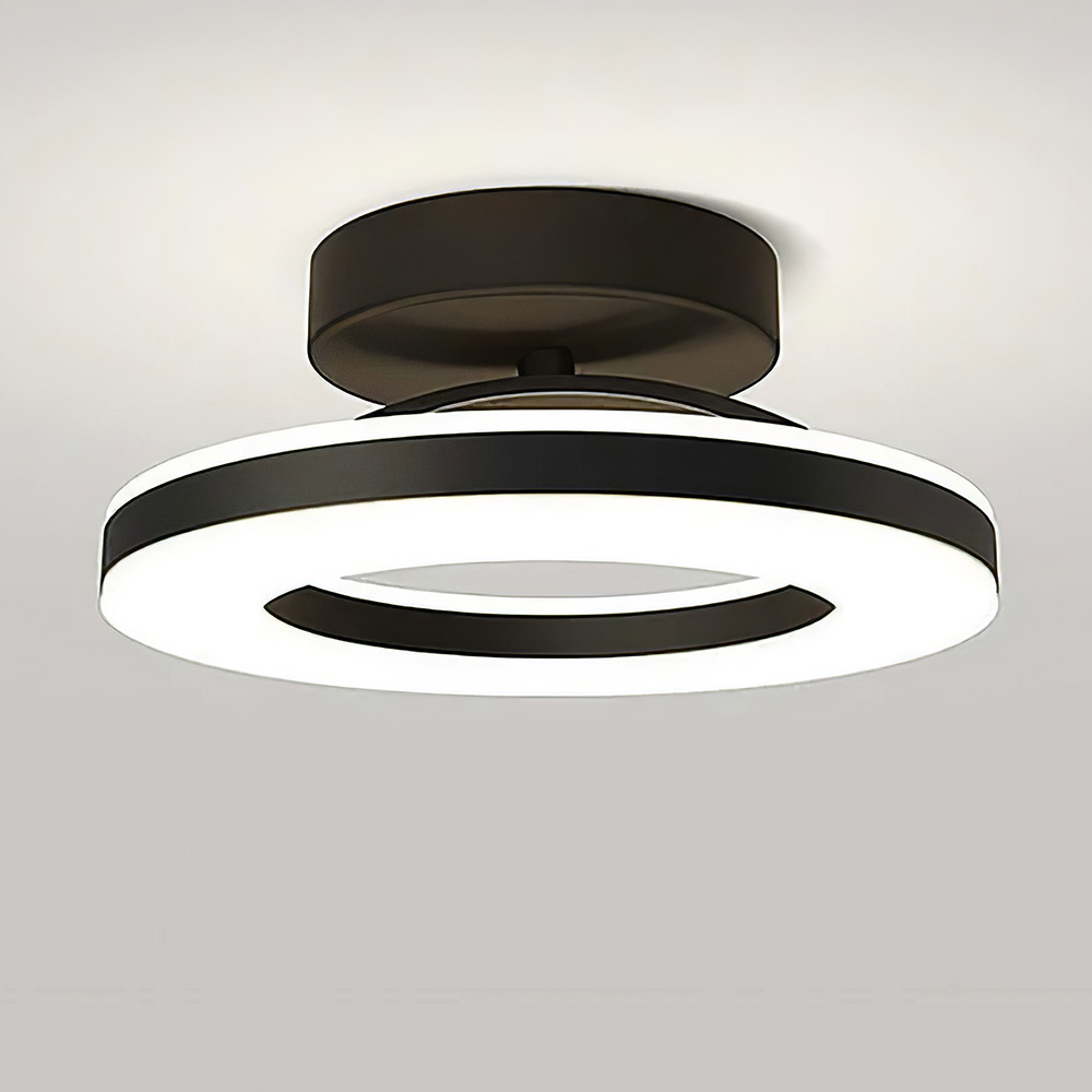 Modern Dimmable LED Living Room Ceiling Light