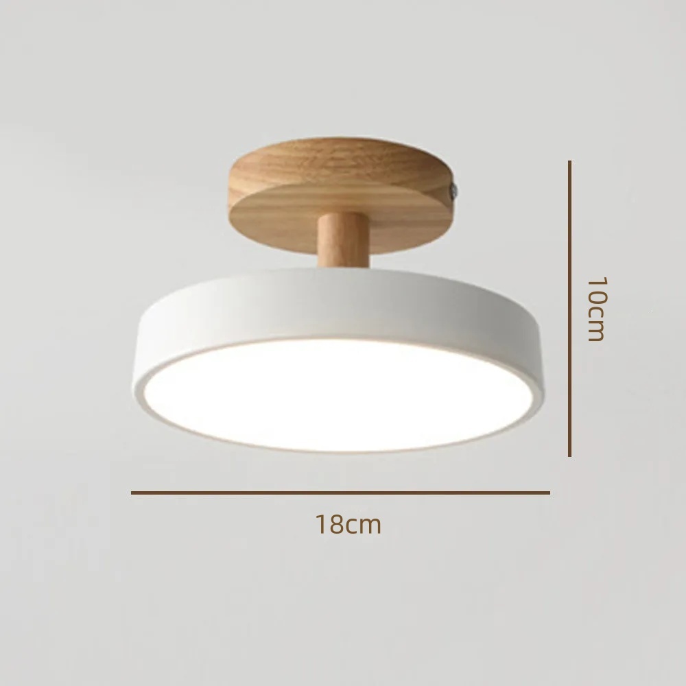 Art Decor Minimalist Iron Hallway LED Ceiling Lights