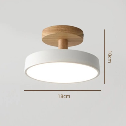 Art Decor Minimalist Iron Hallway LED Ceiling Lights