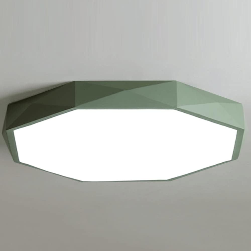 Modern Dimmable Metal Led Ceiling Light