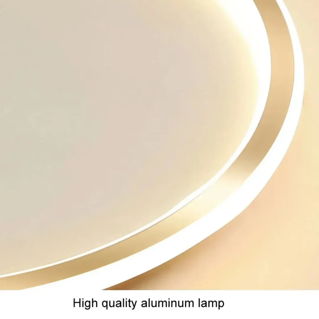 Modern Energy-Efficient Round LED Ceiling Lights