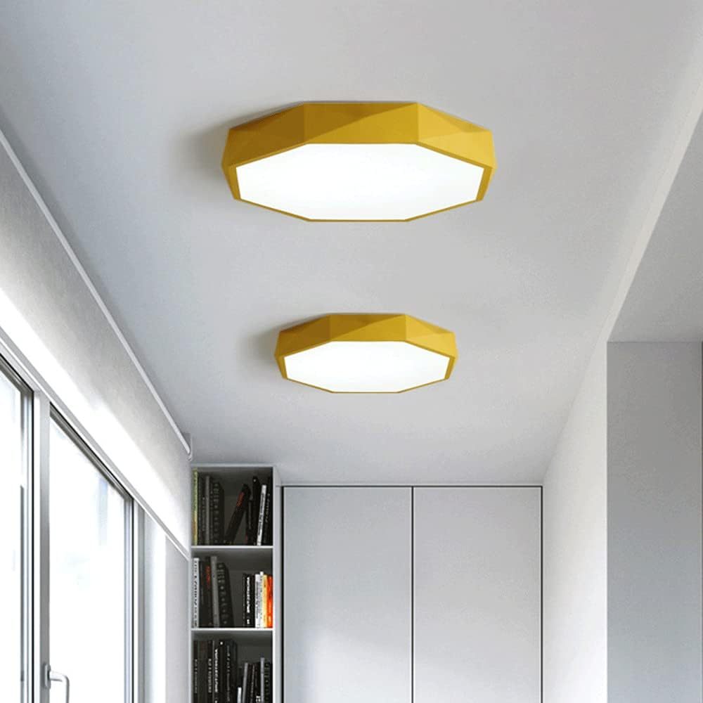 Modern Dimmable Metal Led Ceiling Light