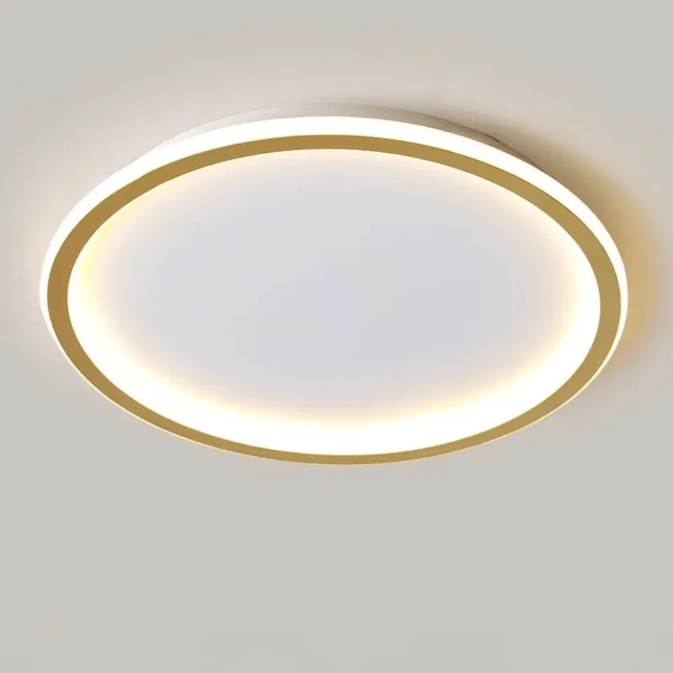 Modern Energy-Efficient Round LED Ceiling Lights