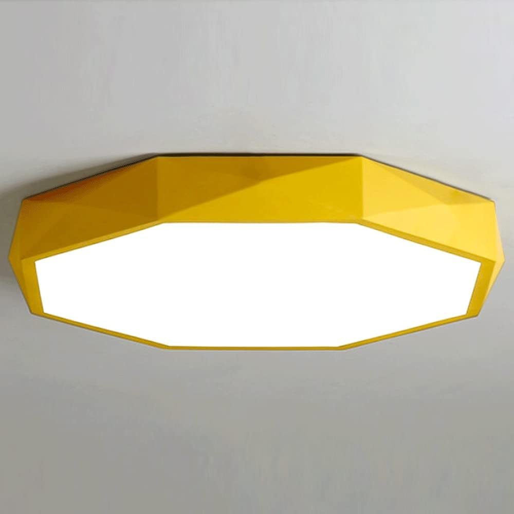 Modern Dimmable Metal Led Ceiling Light