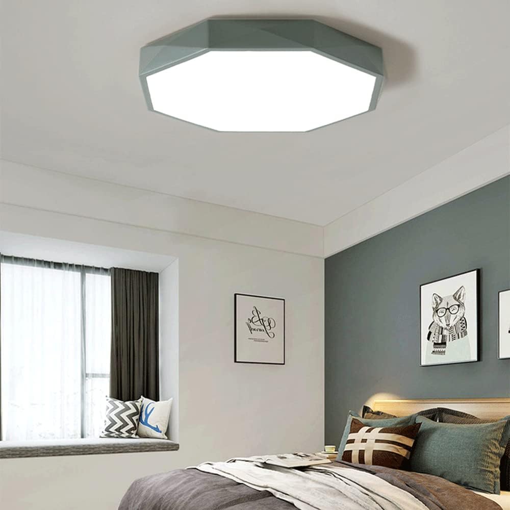 Modern Dimmable Metal Led Ceiling Light