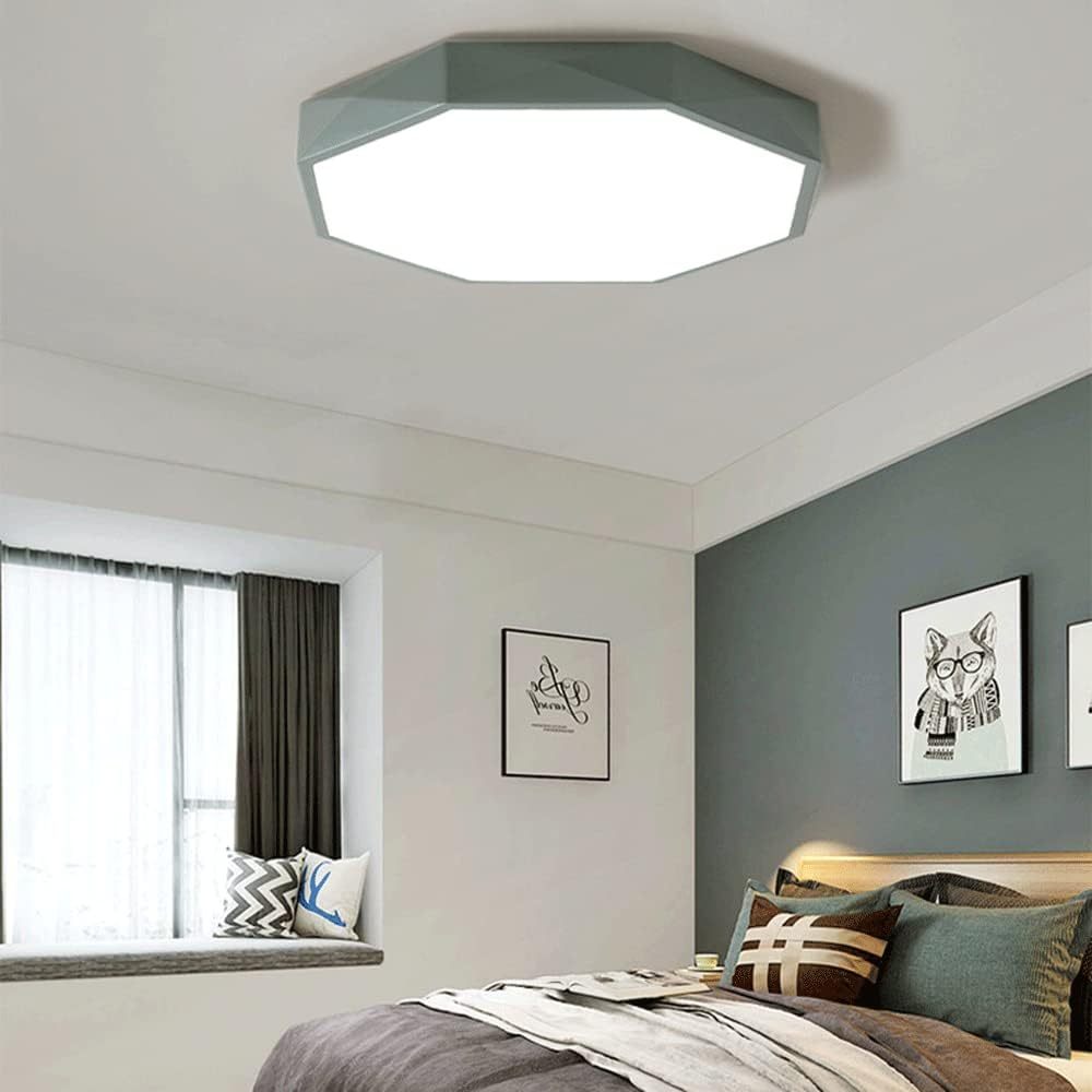 Modern Dimmable Metal Led Ceiling Light