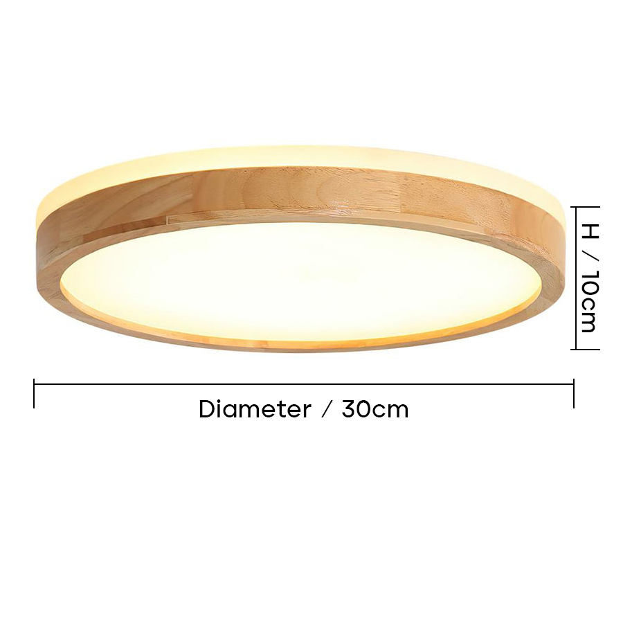 Simple Round LED Ceiling Lights For Living Room