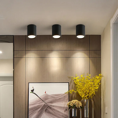 Compact Aluminum LED Ceiling Downlights For Hallway