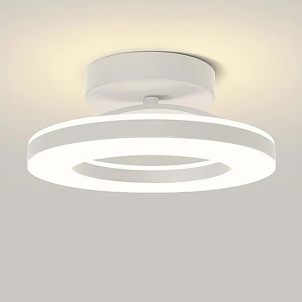 Modern Dimmable LED Living Room Ceiling Light