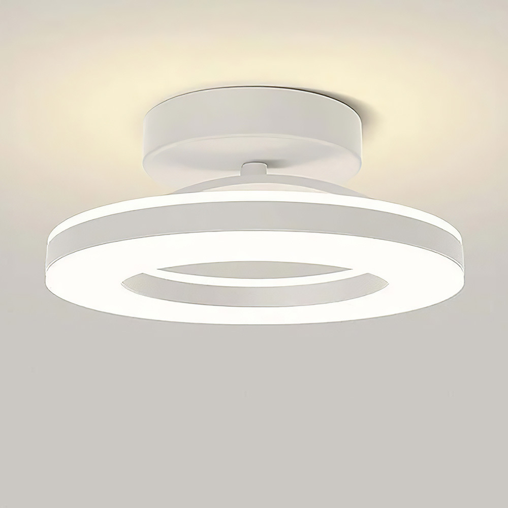 Modern Dimmable LED Living Room Ceiling Light