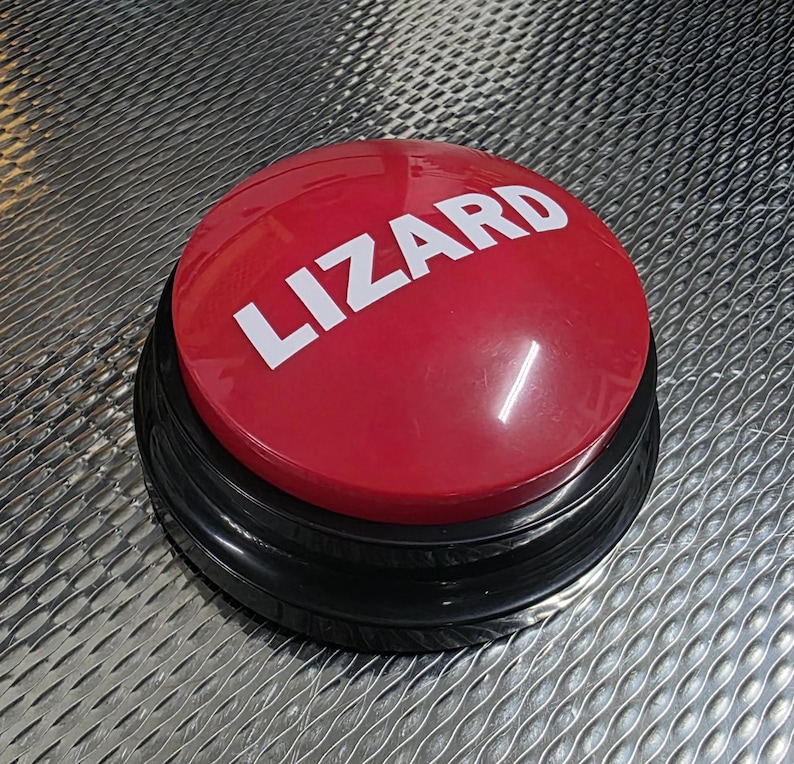 Funny Lizard Meme Button & Mug