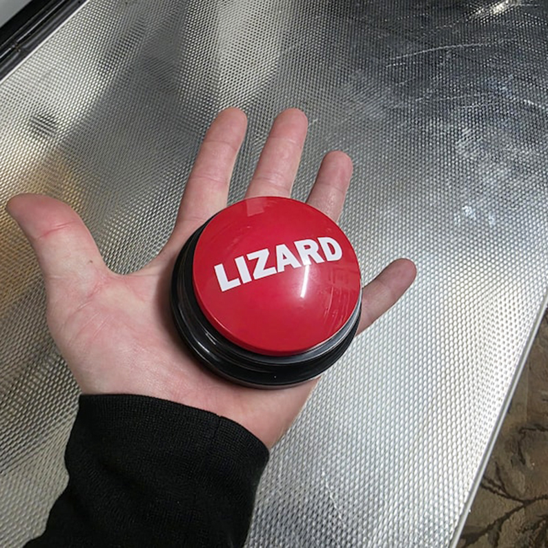 Funny Lizard Meme Button & Mug