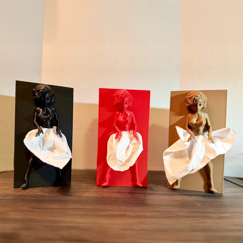 3D Lady with a Dress Tissue Box
