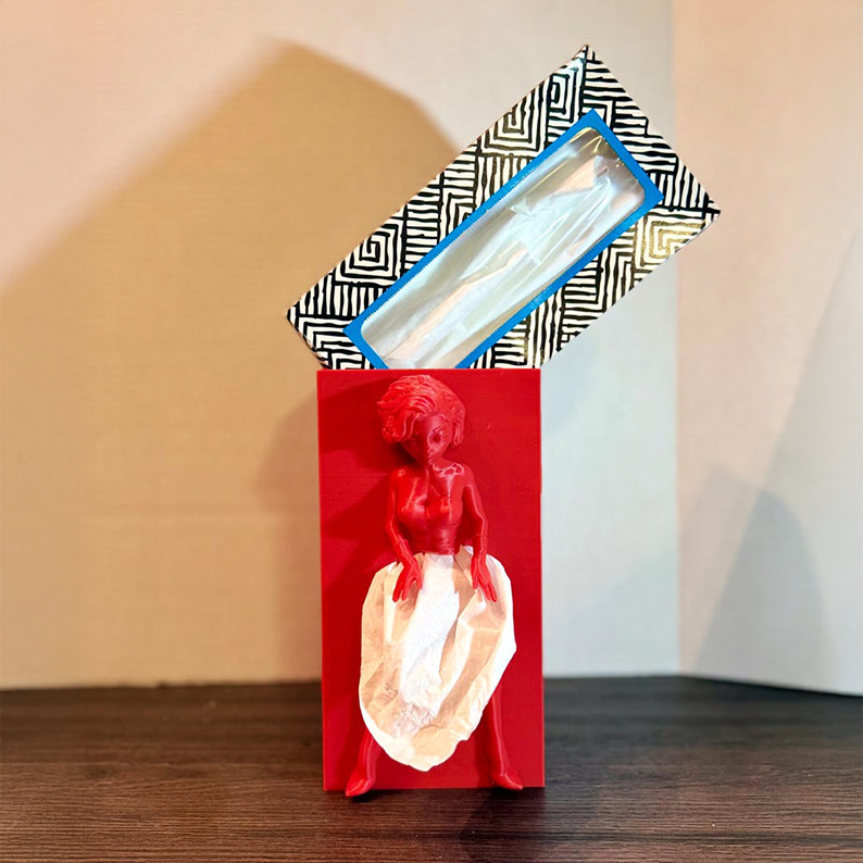 3D Lady with a Dress Tissue Box