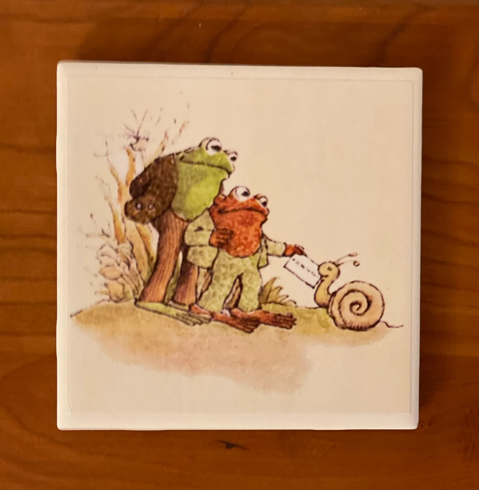 Frog & Toad  Coasters(Set of 4)