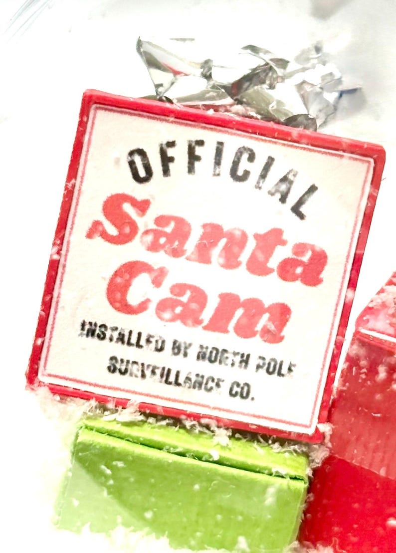 Funny Santa Cam Christmas Ornament