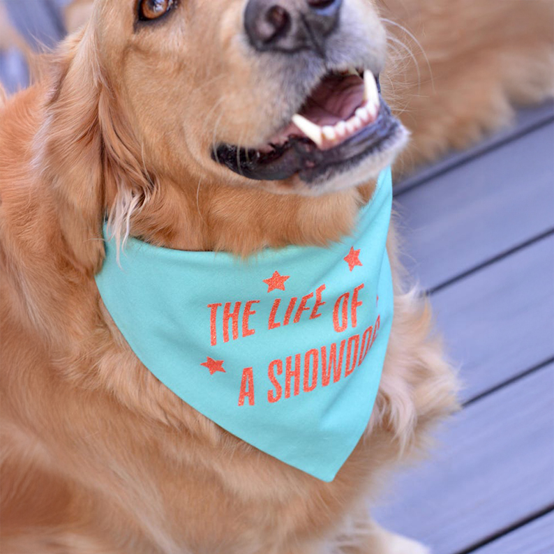 The Life of a Showdog Dog Bandana